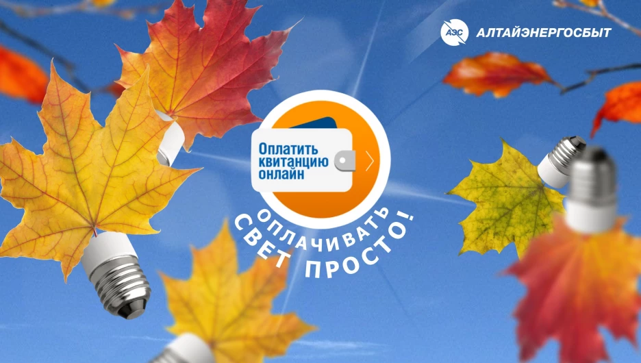 «Алтайэнергосбыт» предлагает 3 простых способа оплатить электроэнергию без комиссии.
