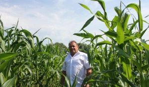 Сергей Букреев
