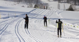 Лыжники. Зима.