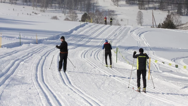 Лыжники. Зима.
