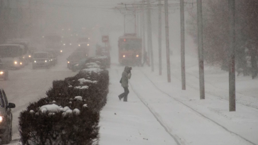 Снегопад. Зима. Метель. Снег.