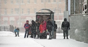 Снегопад. Зима. Метель. Снег.