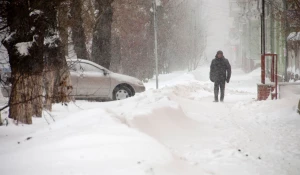 Снегопад. Зима. Метель. Снег.