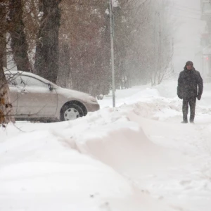 Снегопад. Зима. Метель. Снег.