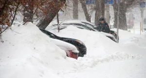 Снегопад. Зима. Метель. Снег.
