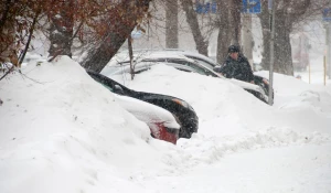 Снегопад. Зима. Метель. Снег.