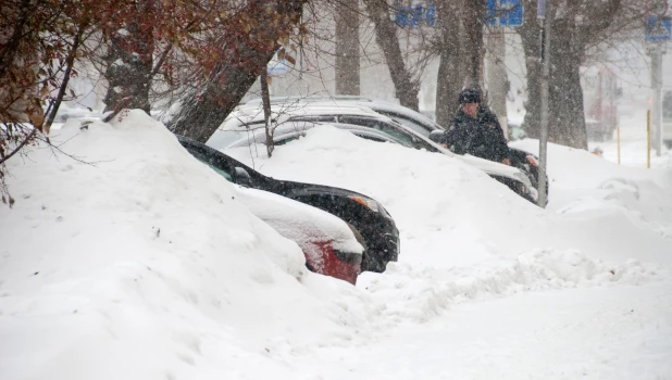 Снегопад. Зима. Метель. Снег.