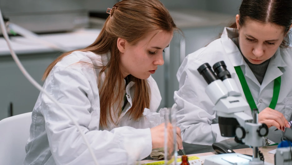 Химик. Екатерина Пикаревская