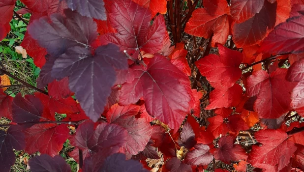 Октябрь в 2024 году