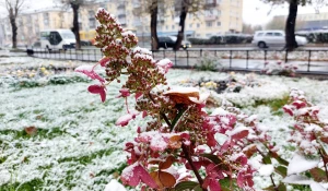 Первый снег в Барнауле.
