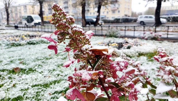 Первый снег в Барнауле.