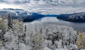 Снег в Алтайском заповеднике.