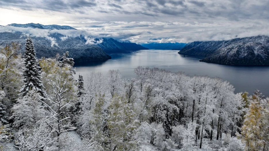 Снег в Алтайском заповеднике.