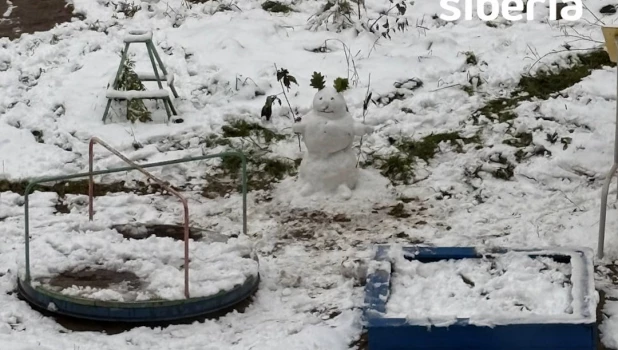Снеговики в Сибири.
