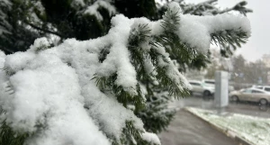 Снегопад в Барнауле 2025