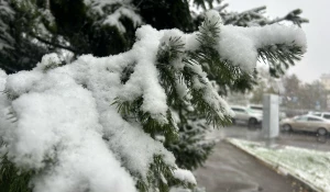 Снегопад в Барнауле 2025