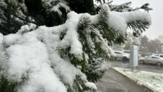 Снегопад в Барнауле 2025