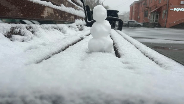 Снегопад в Барнауле 2025