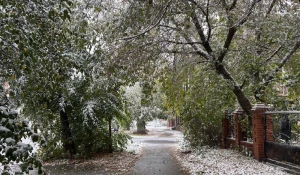 Снегопад в Барнауле 2025