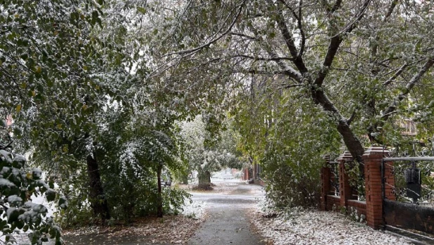 Снегопад в Барнауле 2025