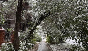 Снегопад в Барнауле 2025