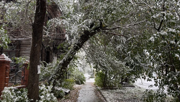 Снегопад в Барнауле 2025