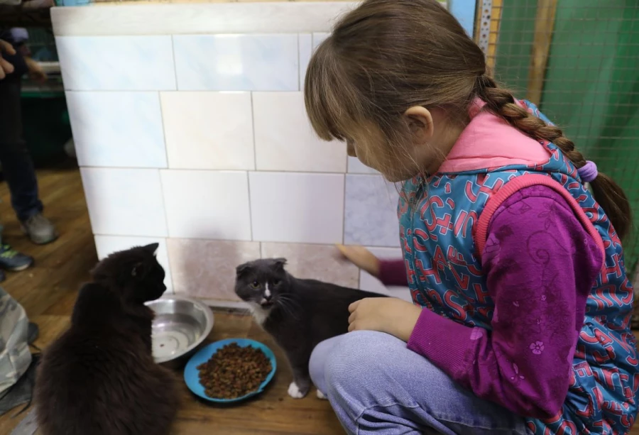 Волонтеры Алтай-Кокса оказали помощь приюту для животных в Заринске.