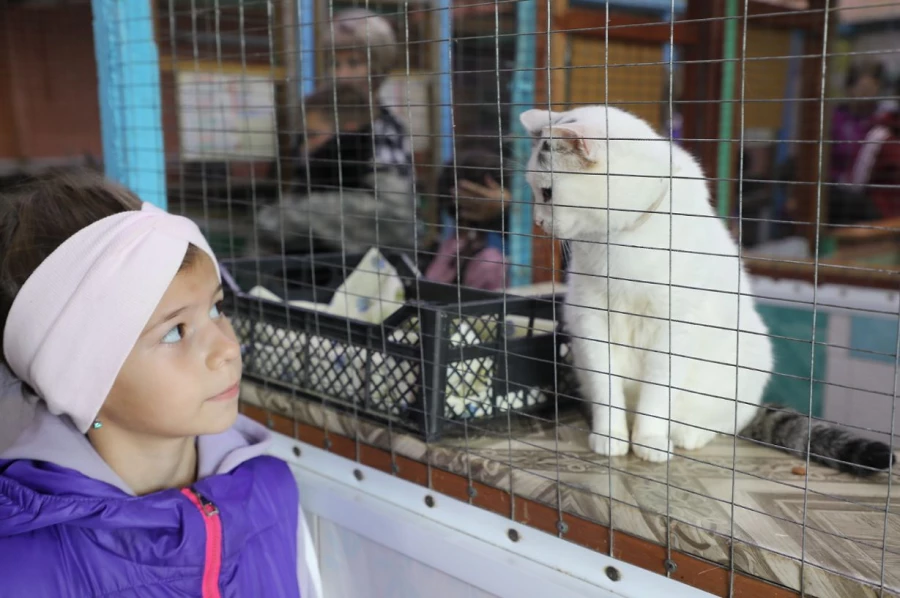 Волонтеры Алтай-Кокса оказали помощь приюту для животных в Заринске.