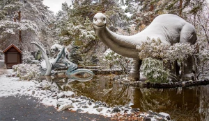 Зимняя сказка в Новосибирском зоопарке 