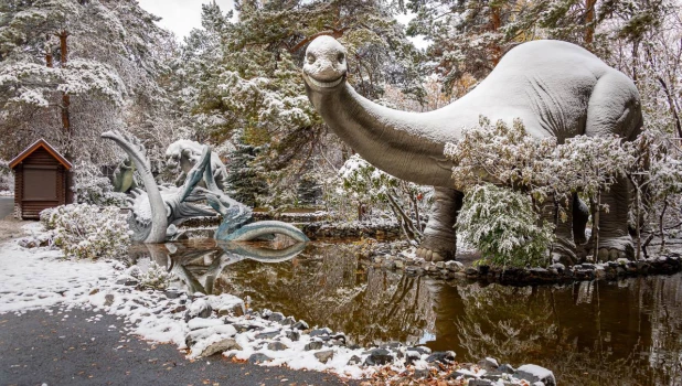 Зимняя сказка в Новосибирском зоопарке 