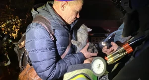 Пожар на пр. Строителей. 