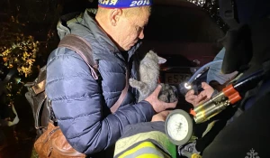 Пожар на пр. Строителей. 