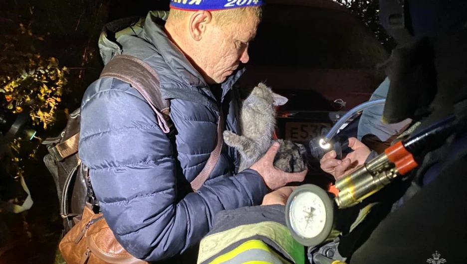 Пожар на пр. Строителей. 