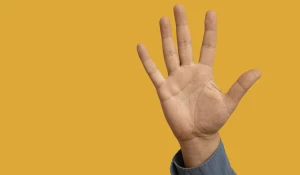 Рука. Ладонь.