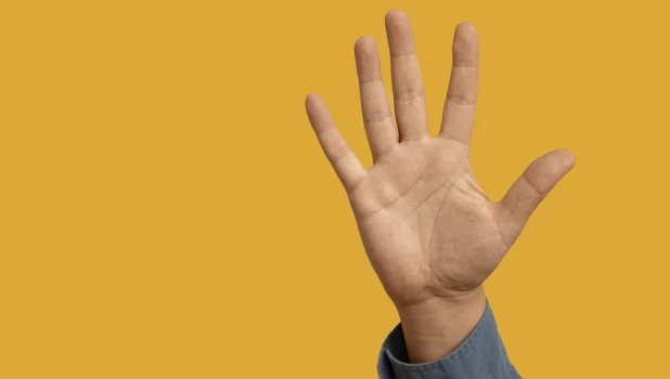 Рука. Ладонь.