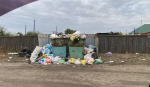Мусор в селе Кулунда.