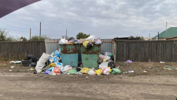 Мусор в селе Кулунда.