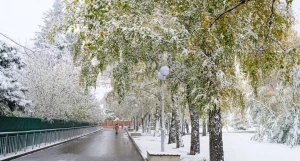 Снежная сказка на Нагорном парке 