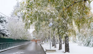 Снежная сказка на Нагорном парке 