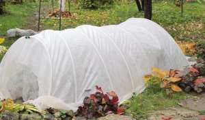 Укрытие растений.