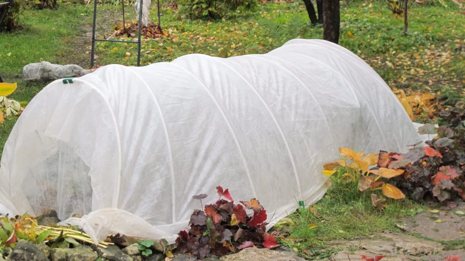 Укрытие растений.