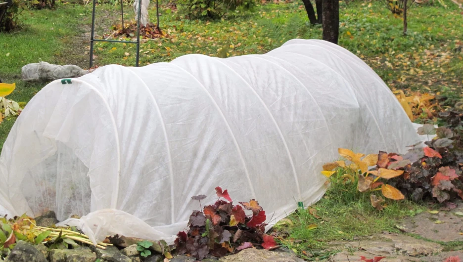 Укрытие растений.