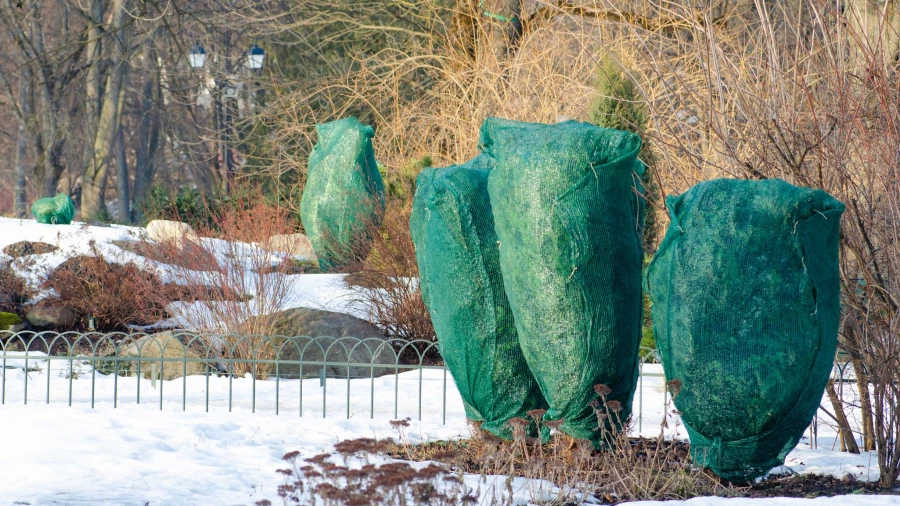 Укрытие растений.