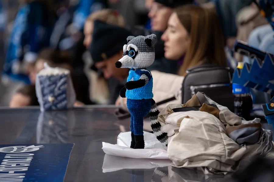 Матч с командой «Звезда» из Москвы