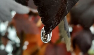 Октябрь в Барнауле.