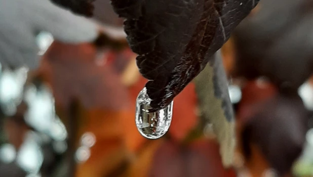 Октябрь в Барнауле.