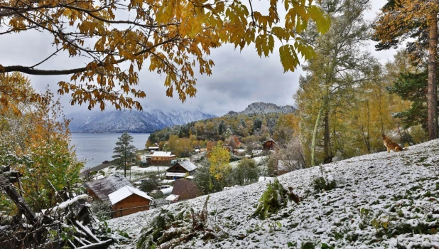 Побережье Телецкого озера рядом с селом Яйлю.