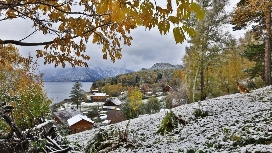 Побережье Телецкого озера рядом с селом Яйлю.