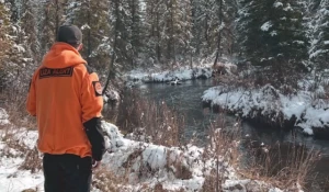 Место поисков семьи Усольцевых 