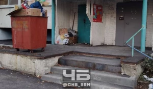 Мусор в Барнауле на ул. Попова, 69, 75.